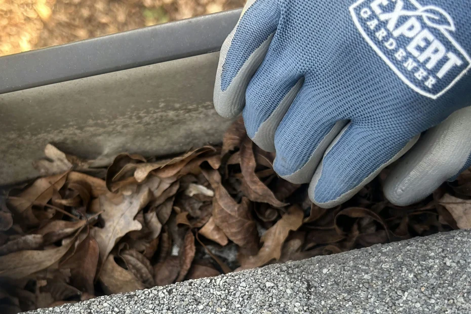 Gutter Cleaning Plainsboro