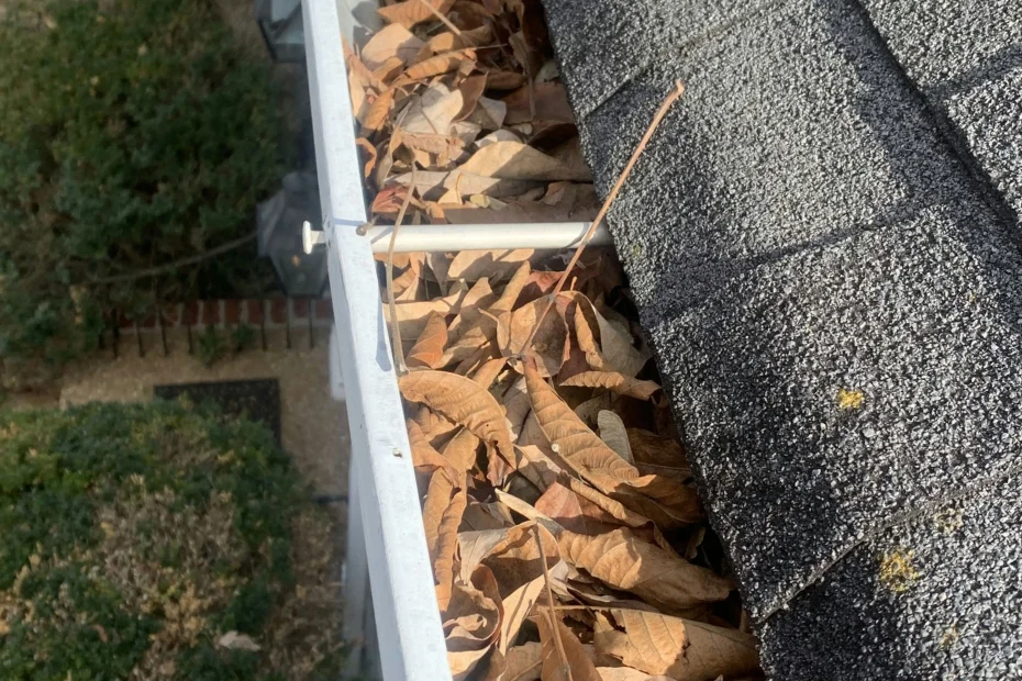 Gutter Cleaning Plainsboro