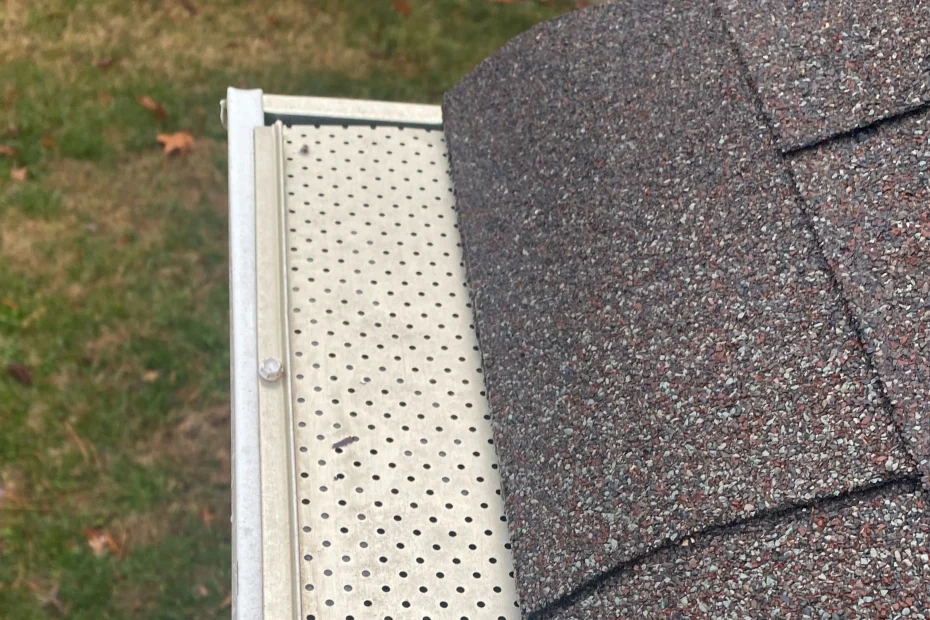 Gutter Cleaning Plainsboro