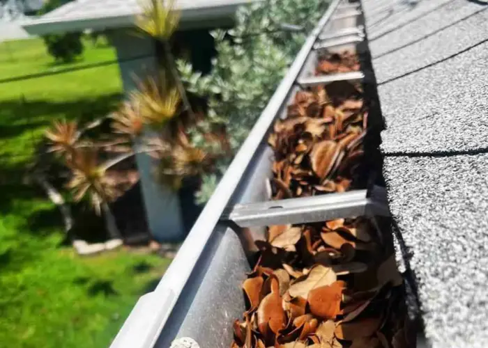 Gutter Cleaning Plainsboro home page